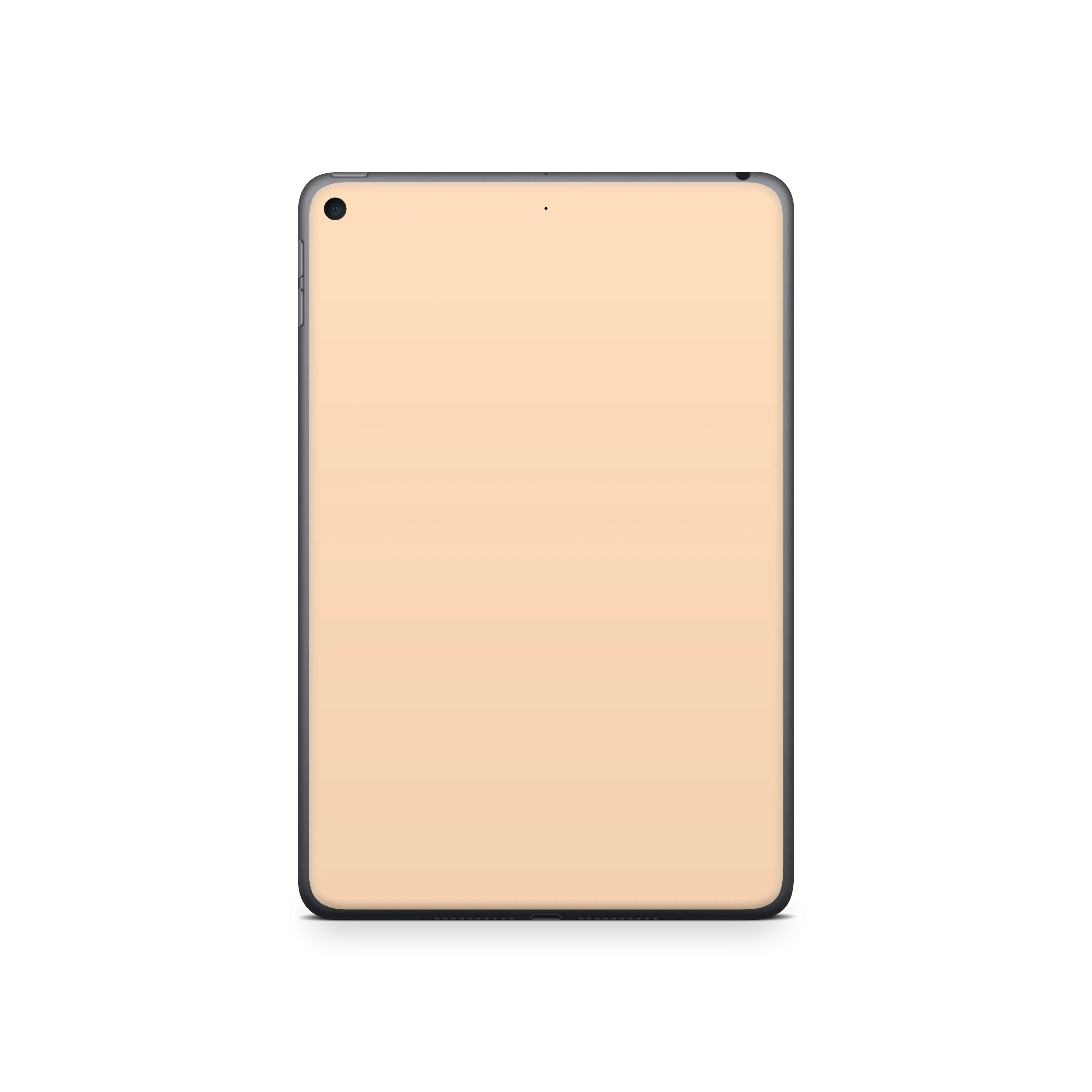 Apple iPad Peach Skin
