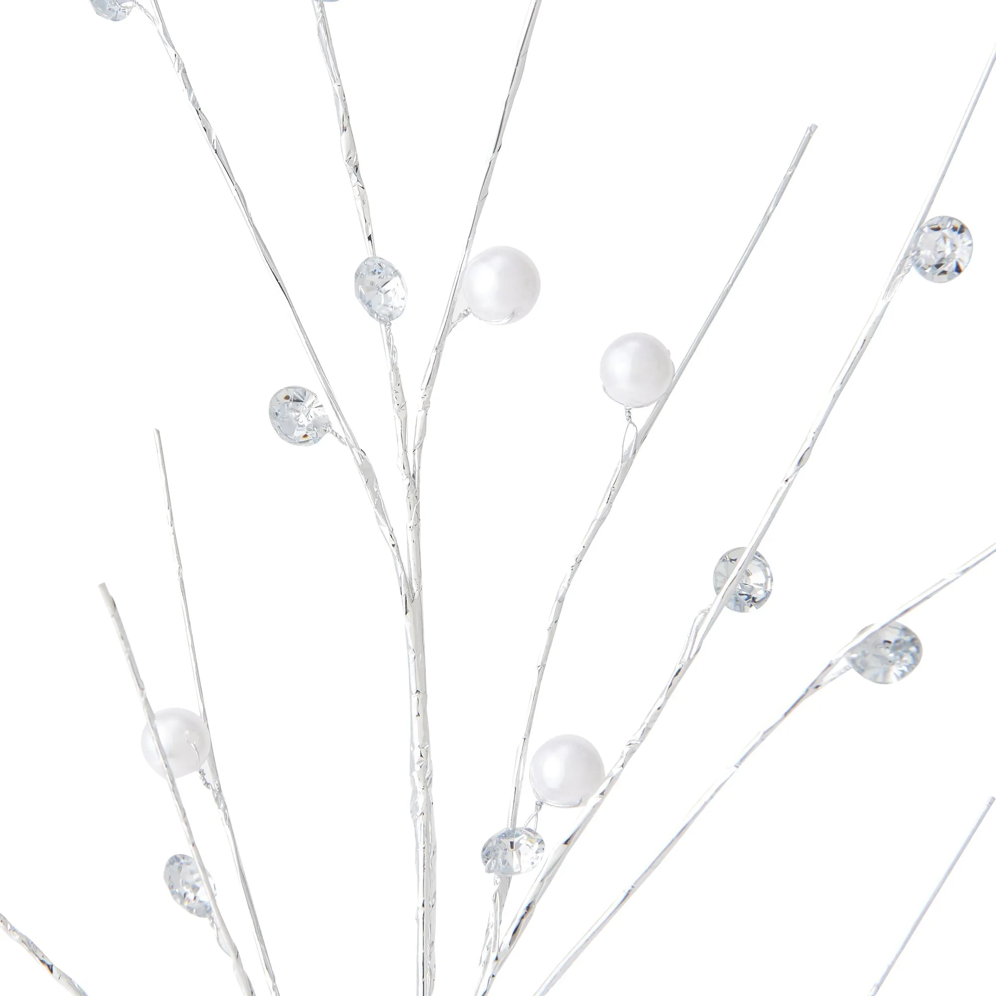 Art Plants Pearl Leaf Silver