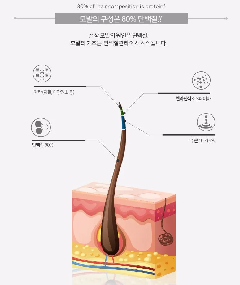 DR. TOP Silk Fibroin Hairfeel 2X Leave in Treatment for Damaged Hair
