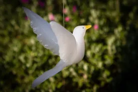Flying Dove with Cremation Ash