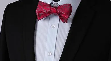 Raspberry Red and Silver Floral Silk Bowtie and Pocket Square Set