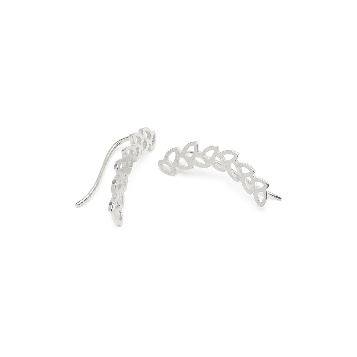 Silver Leaf Ear Climber