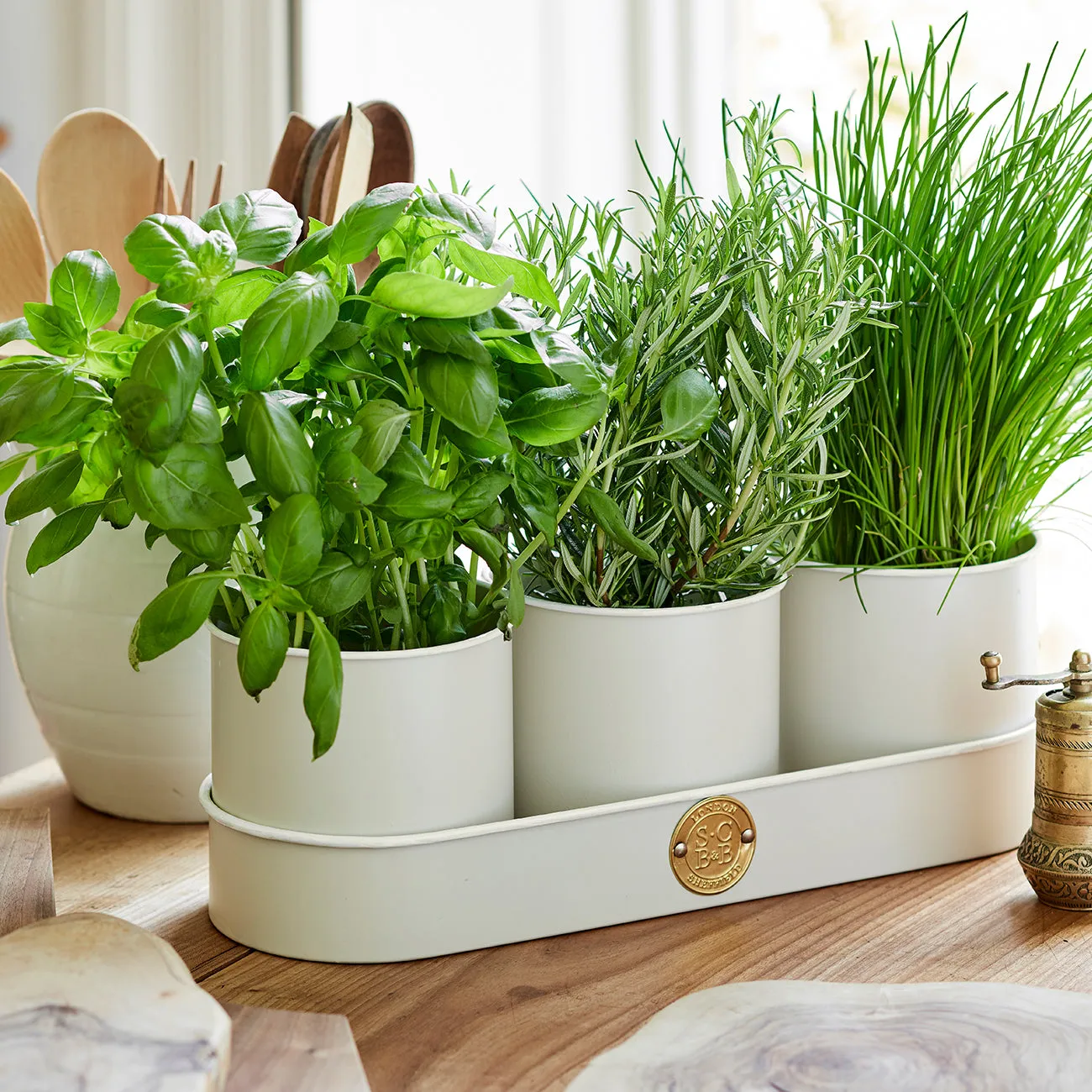 Sophie Conran Herb Pots - Buttermilk